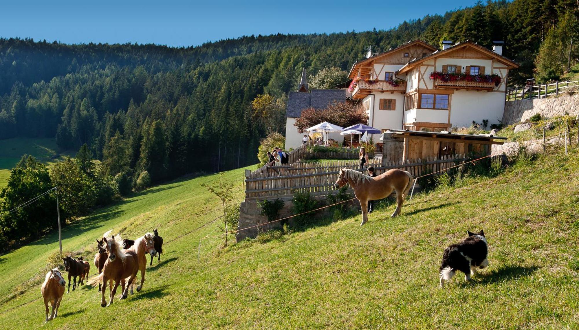 Gasthaus Bad Siess Longostagno Ngoại thất bức ảnh
